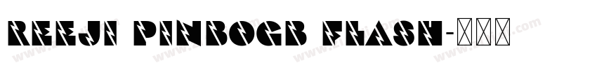 REEJI PinboGB Flash字体转换